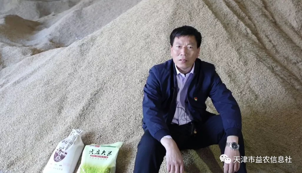 天津益农信息社新闻,天津益农信息社下乡拼购平台