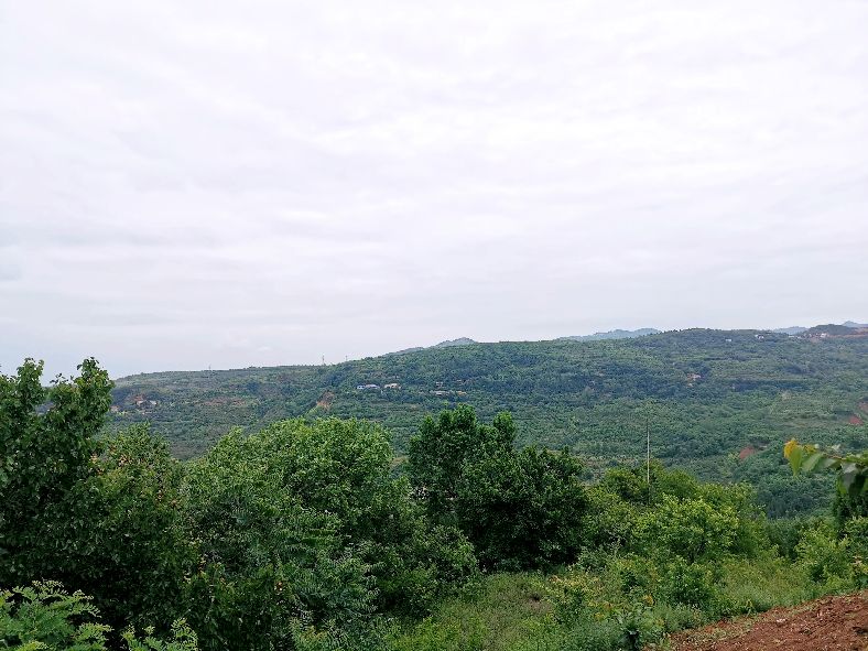 西安洪庆焚书坑儒,洪庆山焚书坑儒