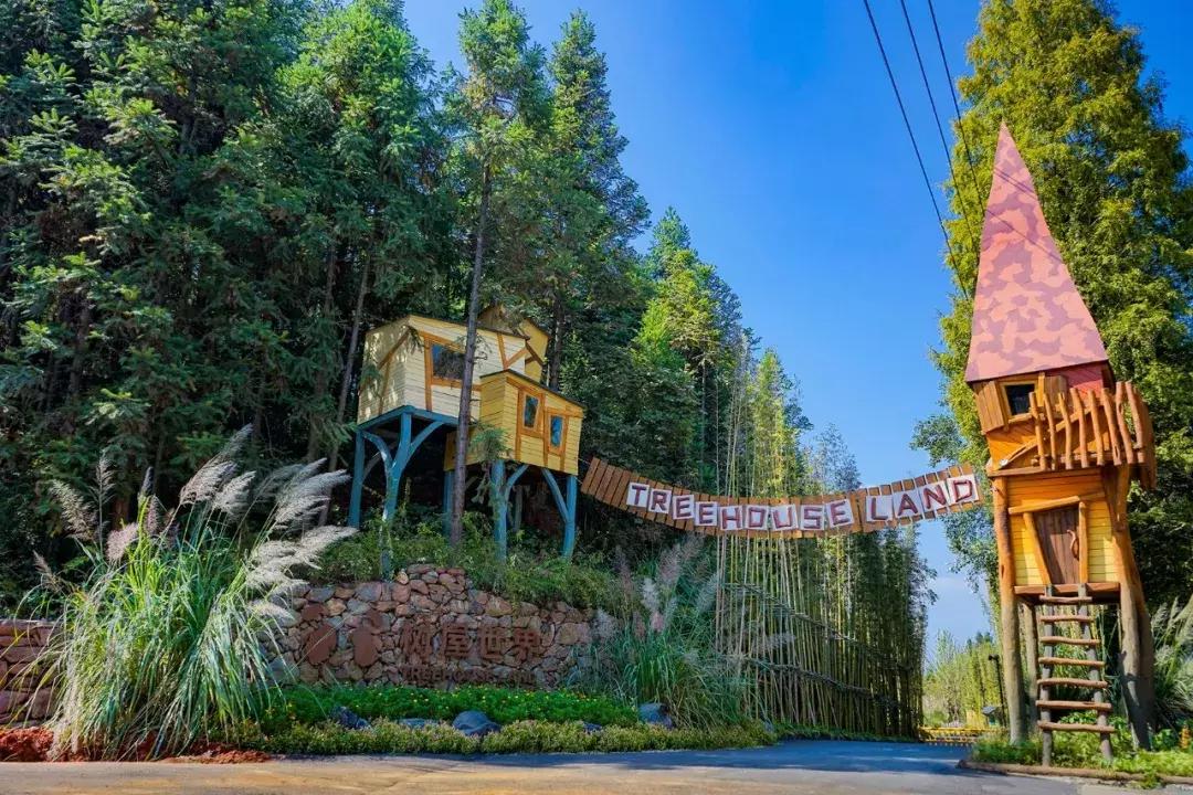 杭州1.5h就有不输清迈的丛林树屋