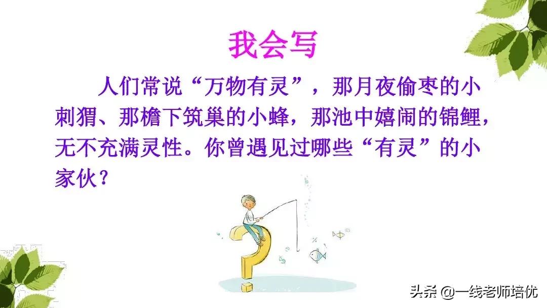 三年级语文带刺的朋友课堂笔记,带刺的朋友三年级上册