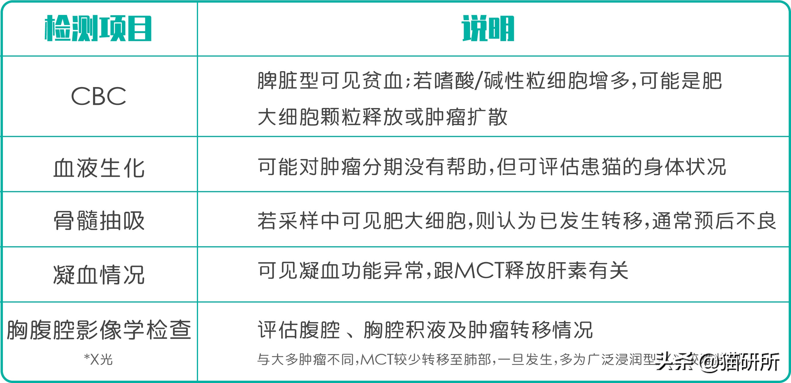 猫咪身上长包包怎么办,猫咪的面部神情跟铲屎官有关系