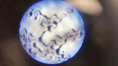 可随身携带的儿童显微镜,kenko儿童显微镜