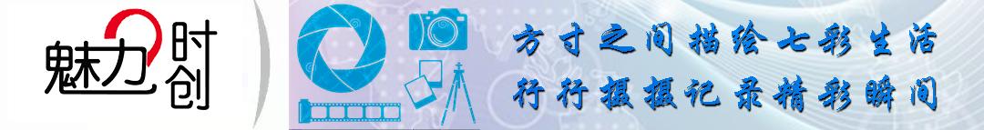 摄影师必看的三个雷区,给摄影爱好者新手的11点忠告