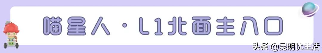 dimoo展览,dimoo太空系列开门红