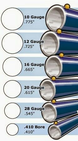 枪还是炮?33.7mm口径!历史上的神经病大口径猎枪