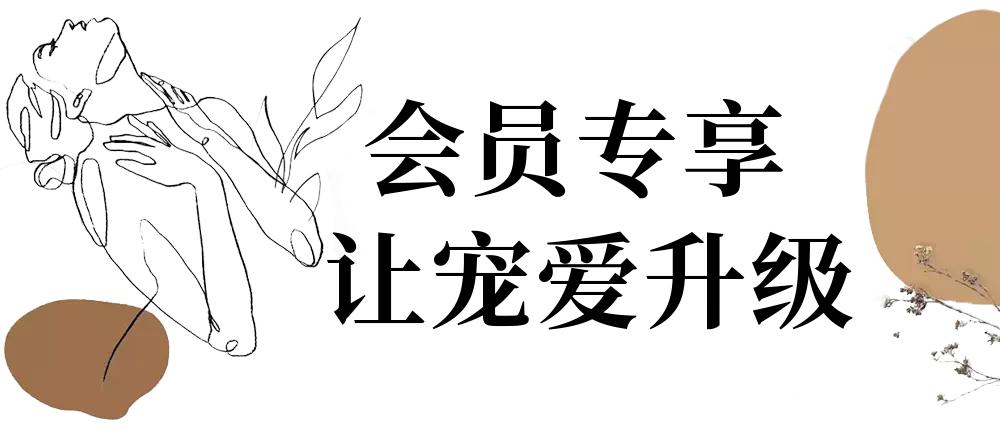丝芙兰大促哪些值得买,丝芙兰年终大促最低是几折