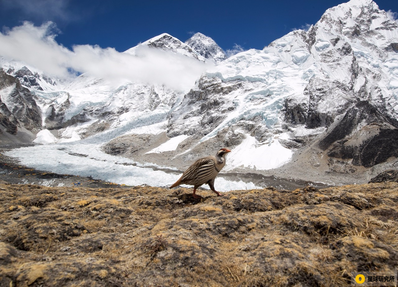 海拔不断的升高,海拔高度一直上升