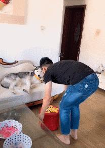 捡到了u盘里面会有什么,捡到一个u盘还好没有用