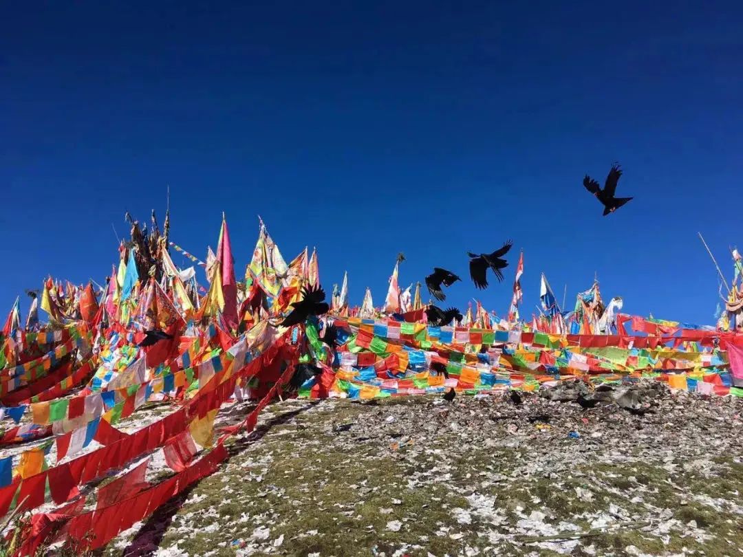 中国旅游集团500强,2022年中国旅游集团20强