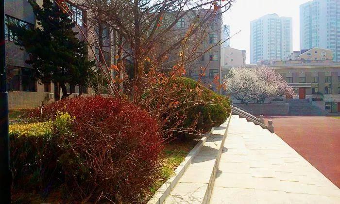 大连市第十三高级中学,辽宁省大连市第二十高级中学