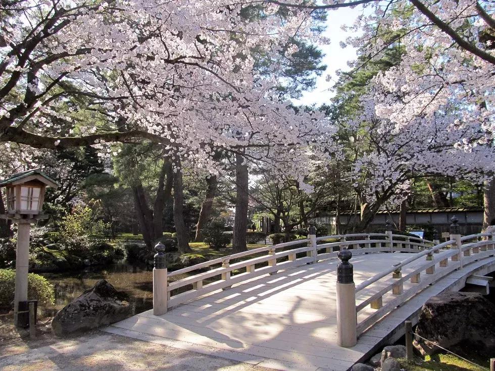 从名古屋到大阪新干线,去日本大阪东京名古屋