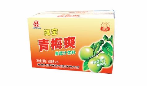 大理的一棵梅花,一棵大理梅品百味解千愁