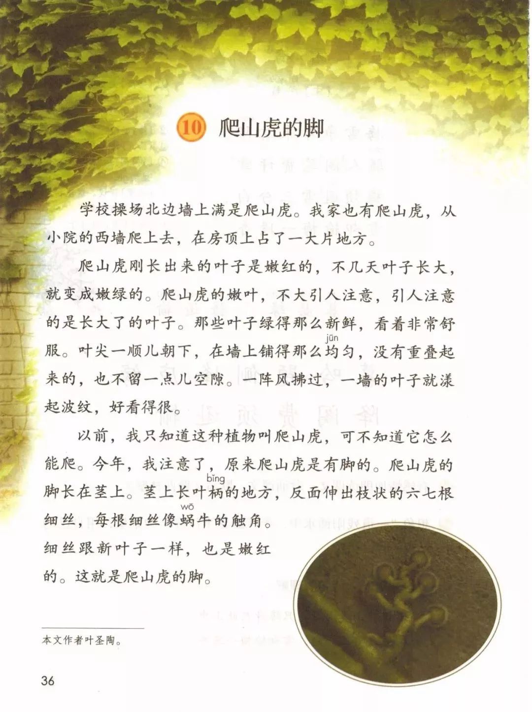 2019秋统编版四年级语文上册电子课本1-4单元（送审版）