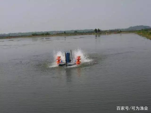 河蟹养殖的利润怎么样,养河蟹亏钱