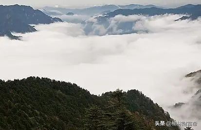 世界上最顶级的思维:资本思维