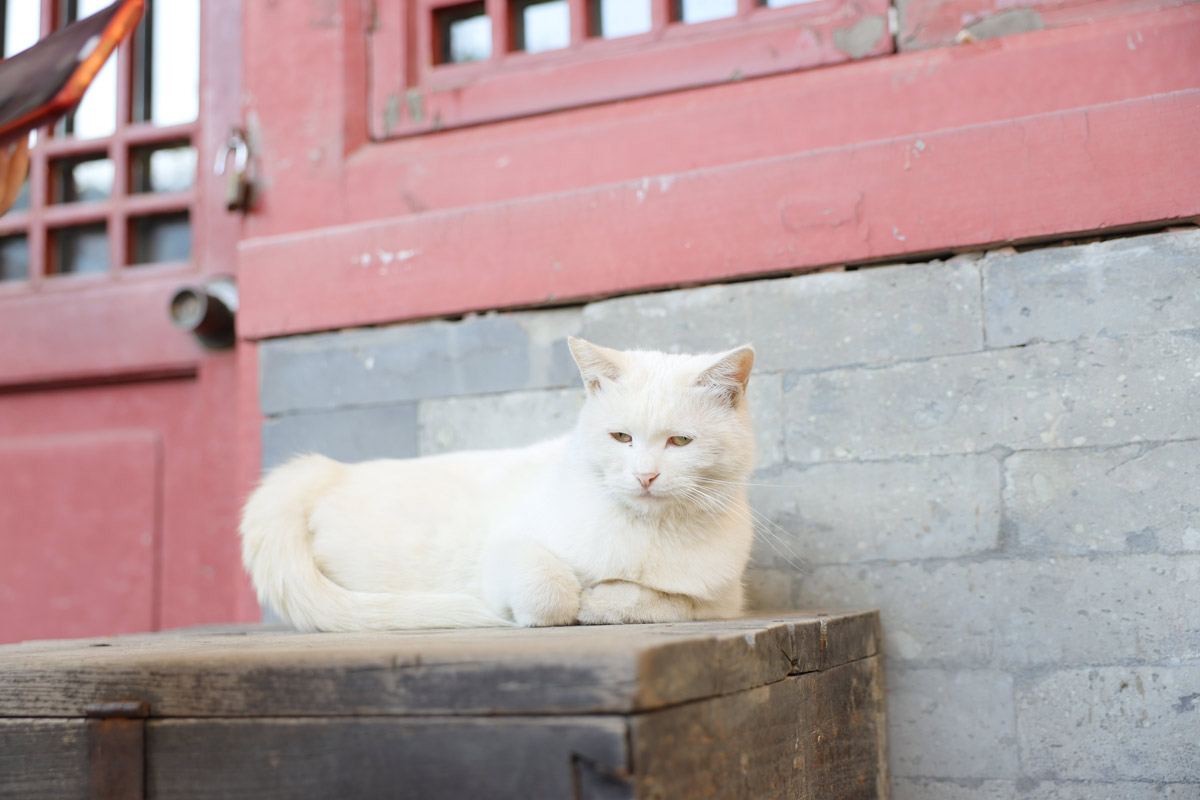 m系微单,佳能eosm6markii评测