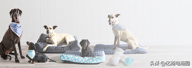 宠物用品批发进货渠道app,中国宠物用品十大批发市场