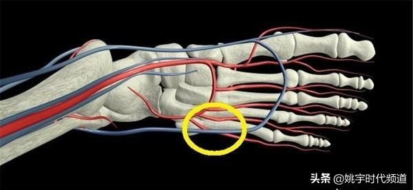 骨折了要注意哪些事情,骨折后得做什么准备