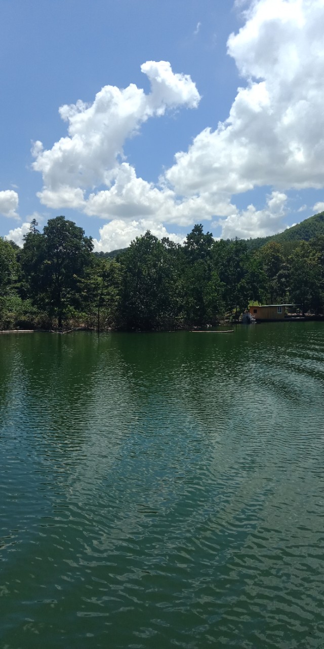 九州文学南京诗社作品,九州文学社作品