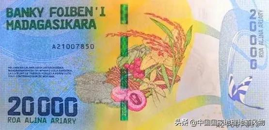 中国种水稻的省份地图,14亿大米图片