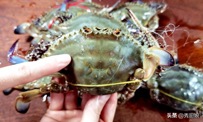 螃蟹肥不肥看哪里图片,怎么知道螃蟹肥不肥