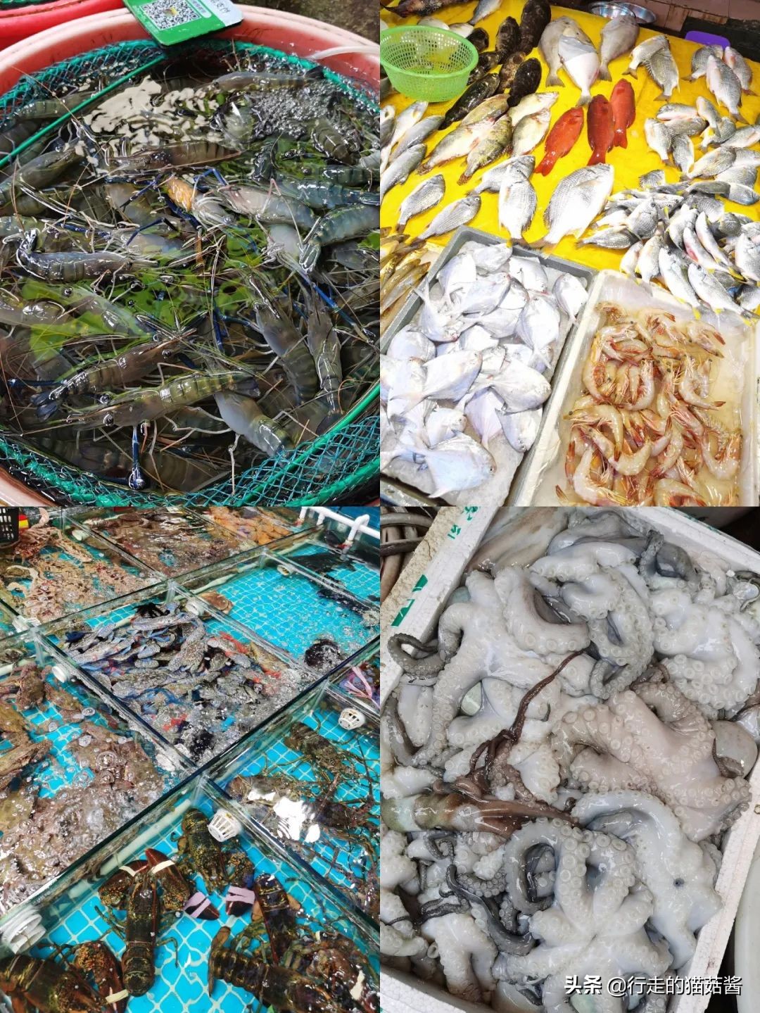 第一次去厦门必去攻略,去厦门的自由行攻略图文