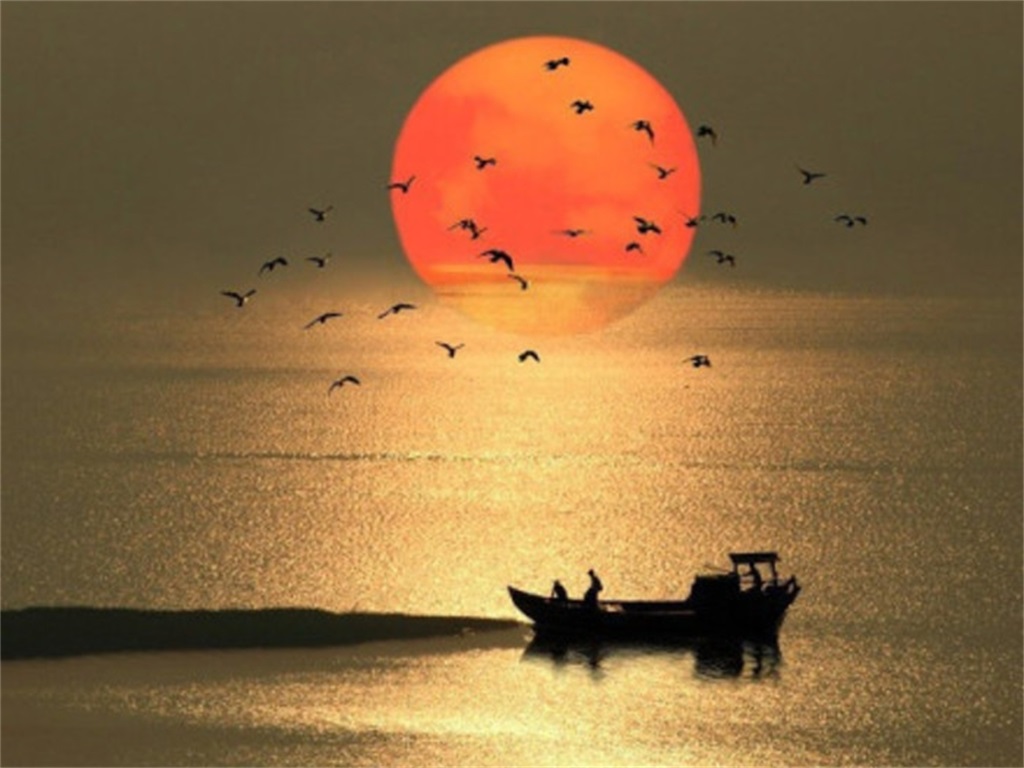 100张ppt创意多图展示动画,160多套清新唯美ppt模板