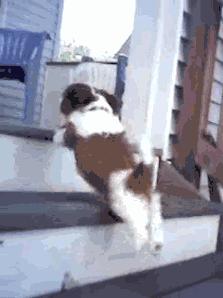 每天爬10楼是利还是弊,每天爬10楼伤膝盖吗