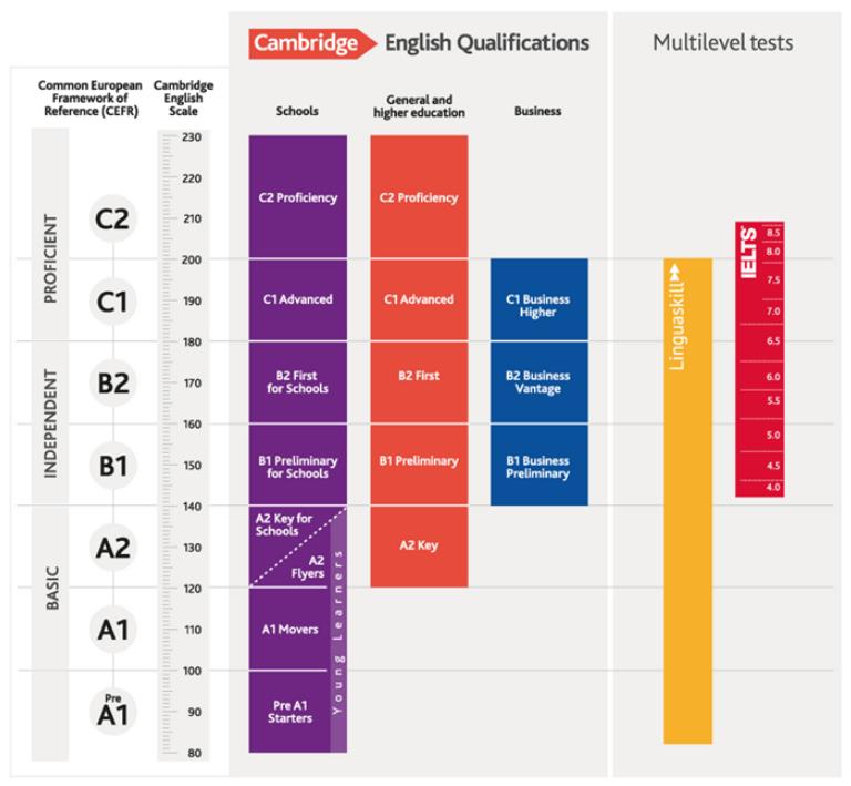 剑桥领思英语,剑桥领思中文官网