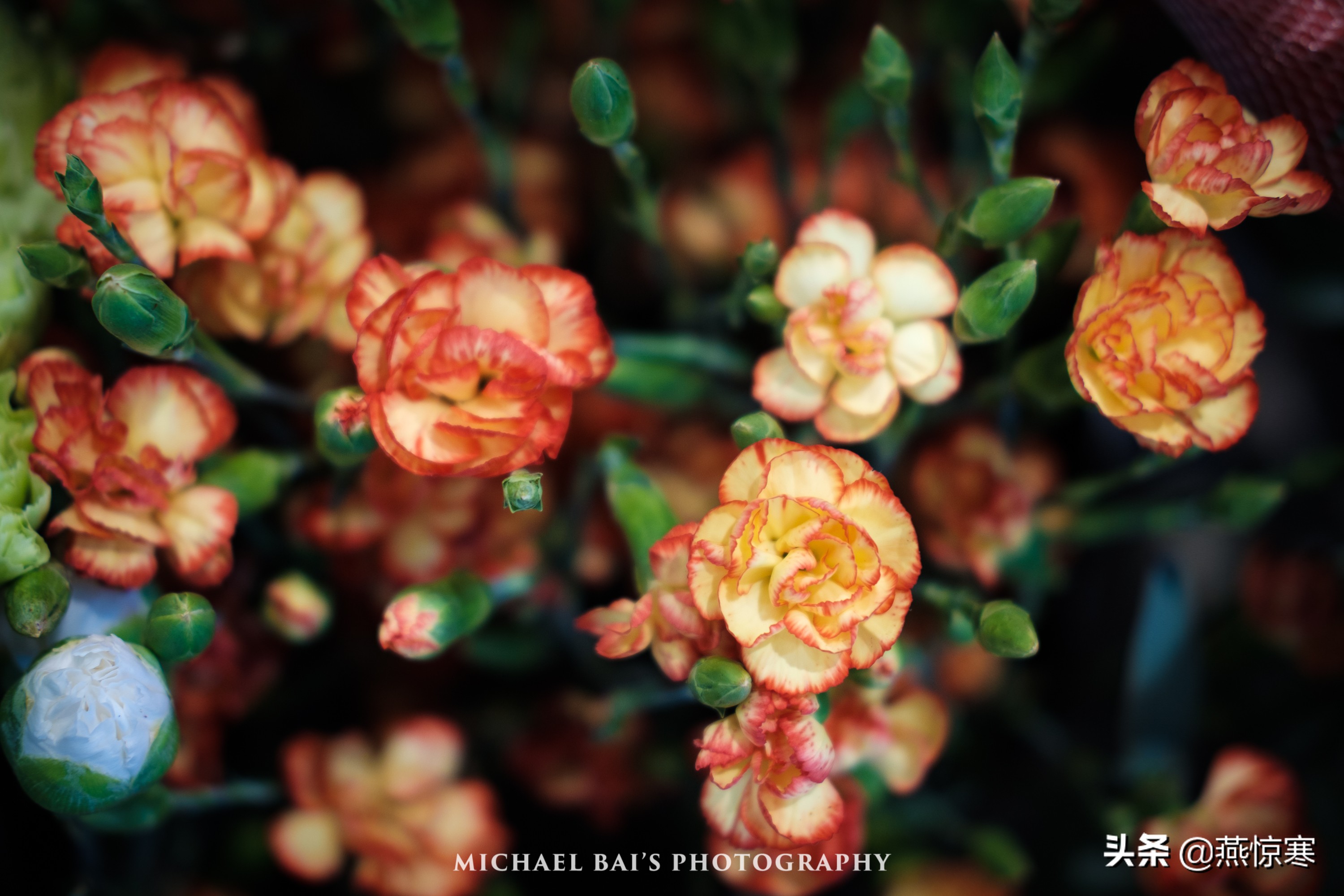 6000元相机加镜头推荐富士,富士相机用什么镜头比较好