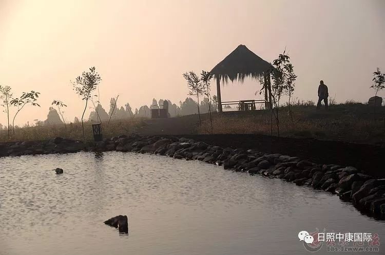 「日照中康国际健康管理医院」一场说走就走的团建之旅