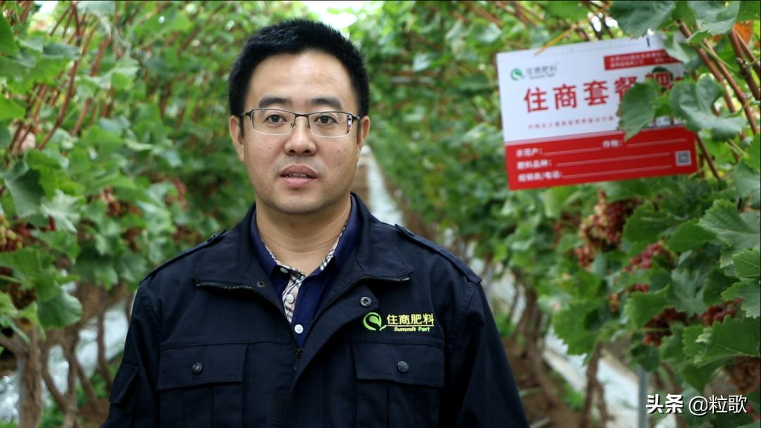 住商中农肥料怎么样,住商肥料助力精品农业