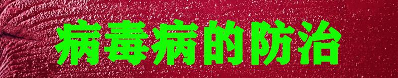 养蚕蚕虫病怎么治,养蚕病害