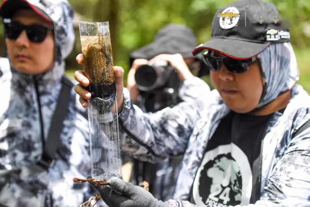 驾驶雪佛兰白色探界者环游世界,雪佛兰探界者1.5试驾视频最新