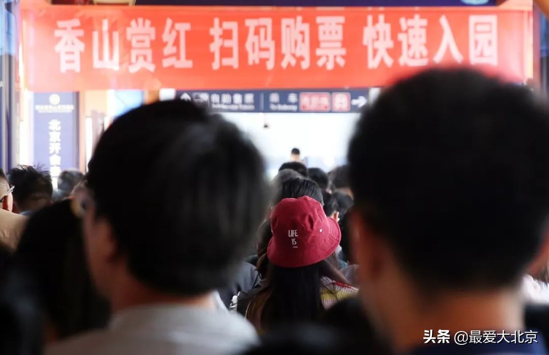 香山周末好去处,香山夏天去好玩吗