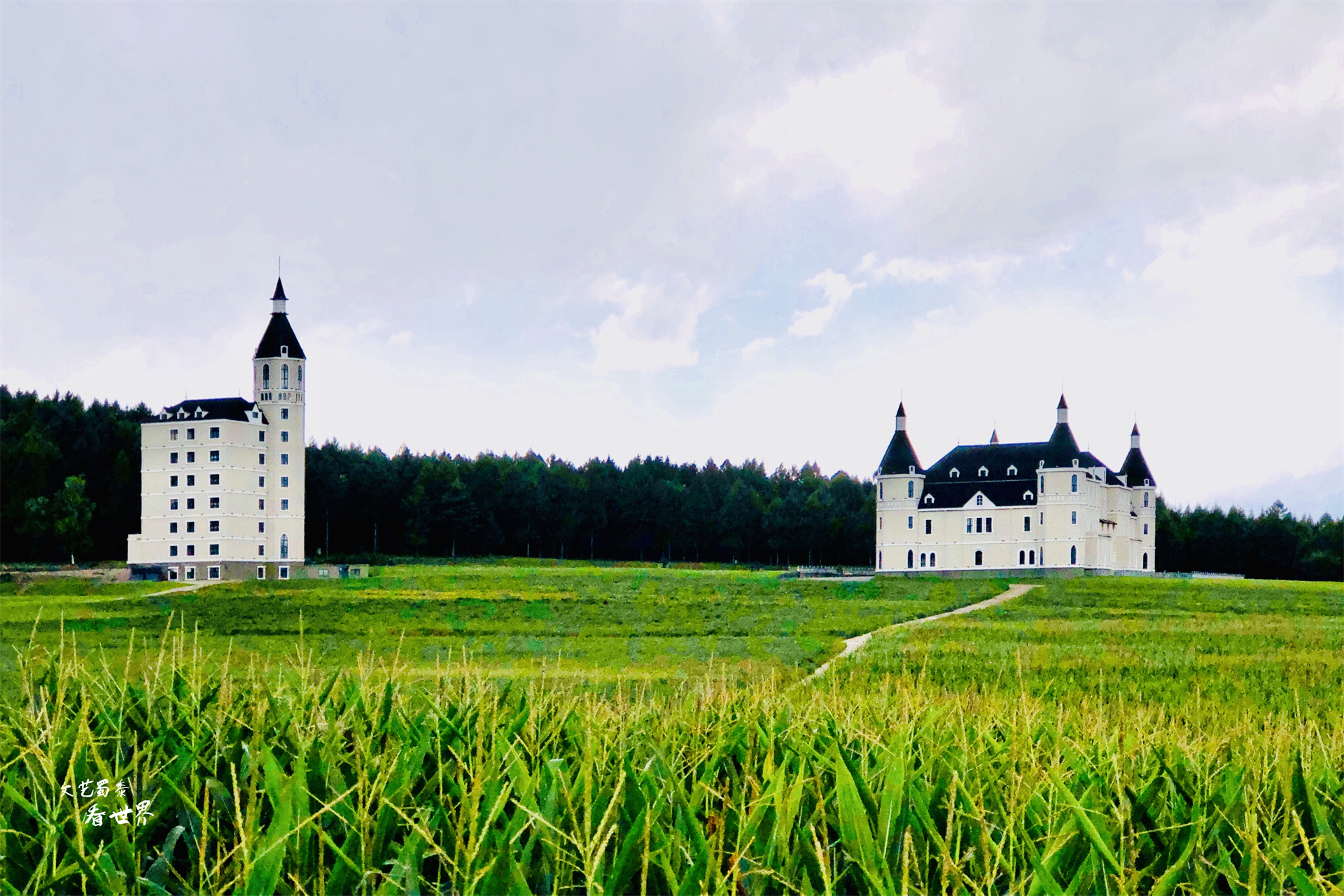 伊春避暑最佳时间地点,伊春避暑旅游真实感受