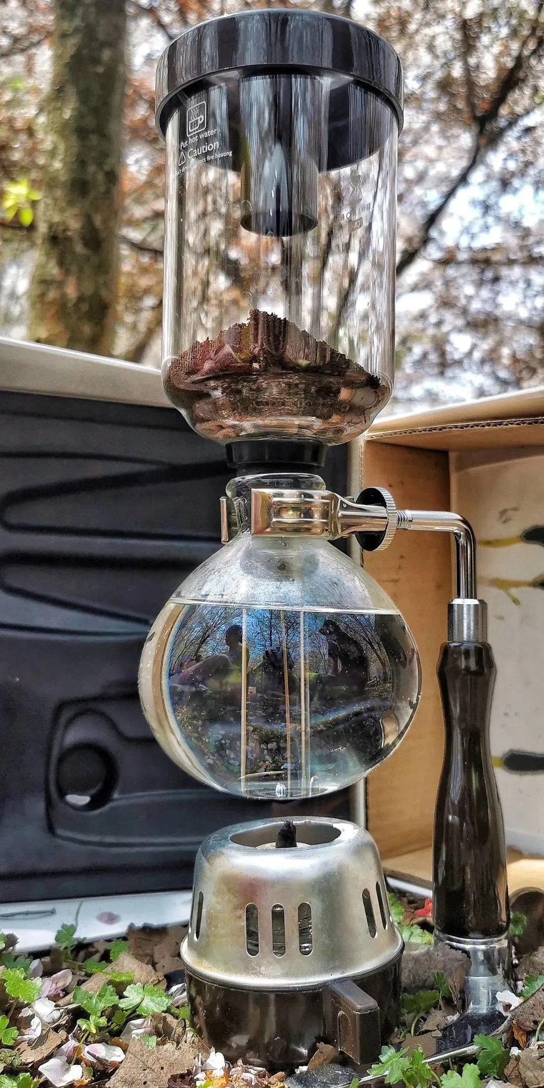 春林花多媚视频讲解,春林花多媚图片