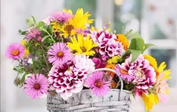 《金思维》中国人婚龄的35个比喻！