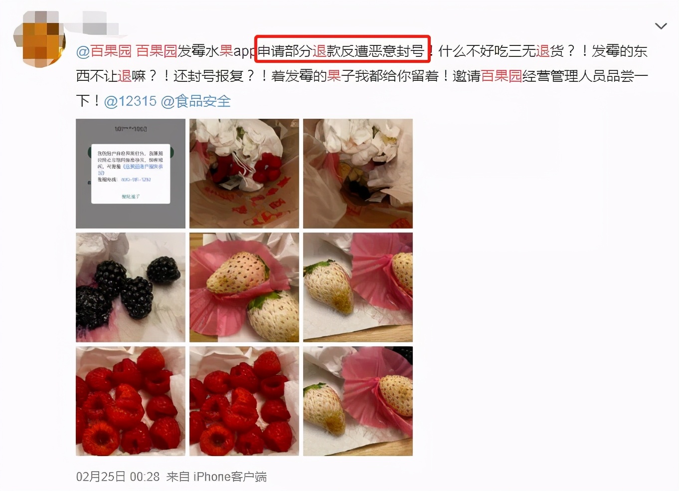 水果界的百果园,水果行业百果园