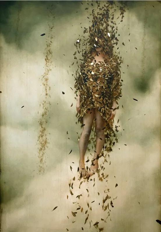 海子最美的六首诗,海子面朝大海春暖花开在线阅读