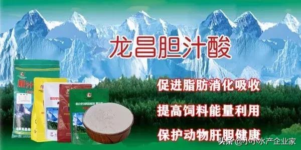 对虾黄肝是什么原因引起的,对虾白便可以治好吗