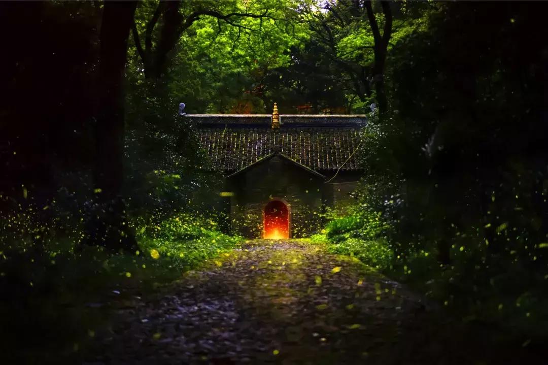 灵谷寺萤火虫7月,灵谷寺萤火虫目前还有吗