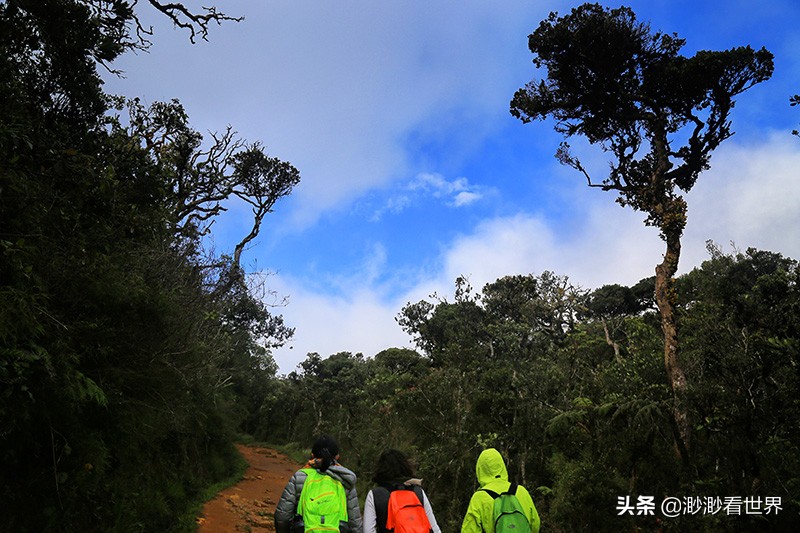 去斯里兰卡旅游攻略,1月去斯里兰卡旅游的最佳攻略