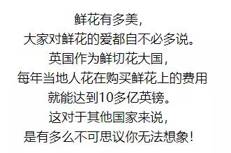 亚洲最大花市宛如仙境,中国最牛的花市