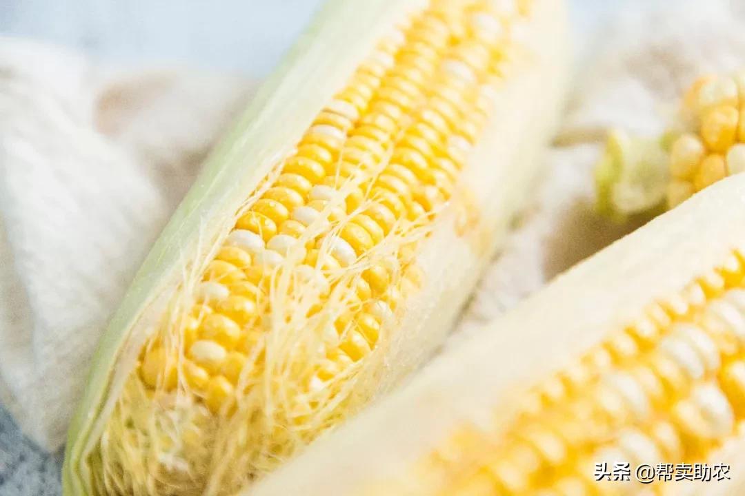 来自云南大山新鲜的橙子,新鲜爆甜水果玉米