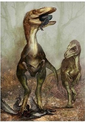 雏鸟嘴两边有白色纹是什么鸟,幼鸟嘴角有白边的是什么小鸟