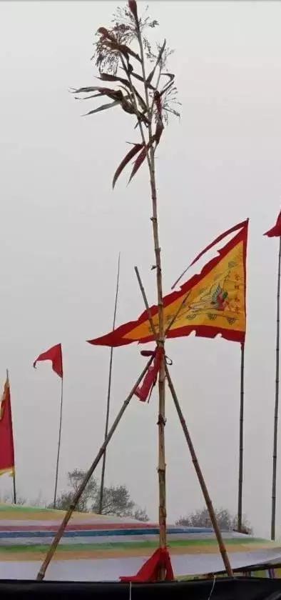 奇葩！5.7米的高粱引村民烧香祭拜，各国军营里迷信有哪些？