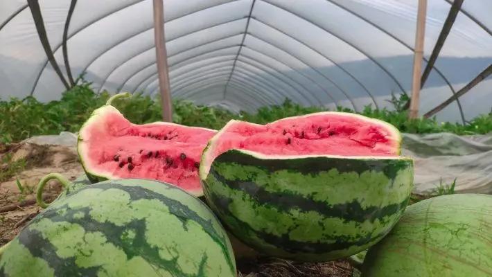 <html>
<head><title>502BadGateway</title></head>
<body>
<center><h1>502BadGateway</h1></center>
<hr><center>nginx</center>
</body>
</html>
<!--apaddingtodisableMSIEandChromefriendlyerrorpage-->
<!--apaddingtodisableMSIEandChromefriendlyerrorpage-->
<!--apaddingtodisableMSIEandChromefriendlyerrorpage-->
<!--apaddingtodisableMSIEandChromefriendlyerrorpage-->
<!--apaddingtodisableMSIEandChromefriendlyerrorpage-->
<!--apaddingtodisableMSIEandChromefriendlyerrorpage-->
