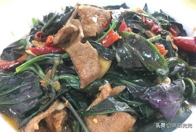 宜宾吃血皮菜中毒,儿童吃血皮菜炒猪肝