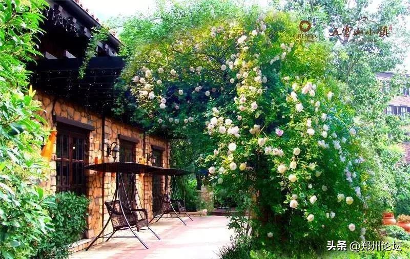 五月节家庭聚会,五月家庭聚餐